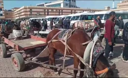 Keşan Belediyesi, at arabacılarına verilen sözleri tutmadı
