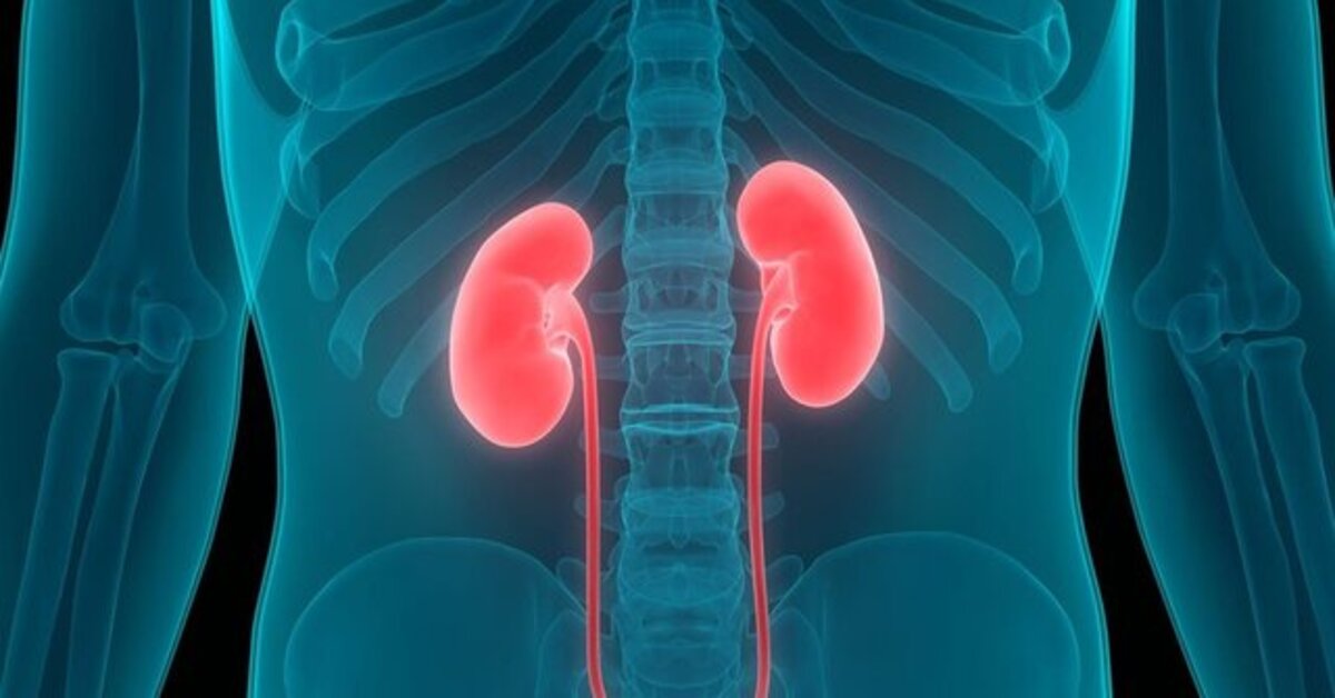 Kadavradan böbrek nakli Covid-19 salgınından sonra düşmeye başladı